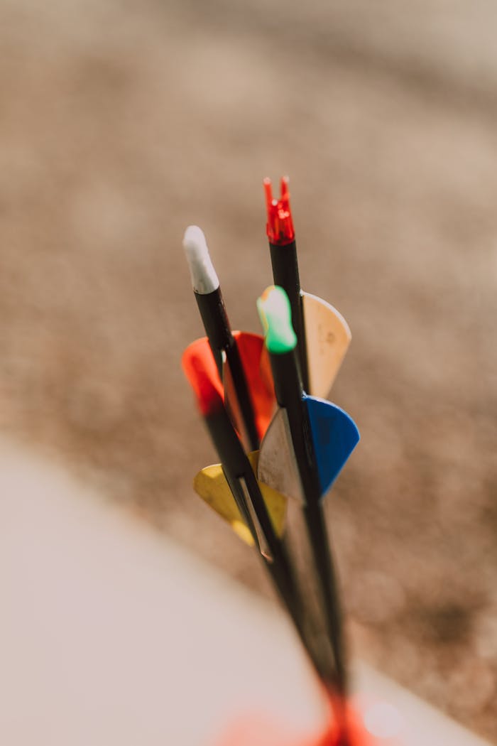 Close-up of colorful arrows outdoors, showcasing details of archery equipment.